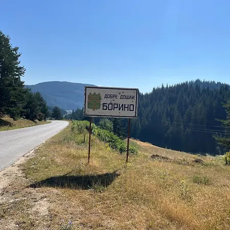 Tairovi * Борино
